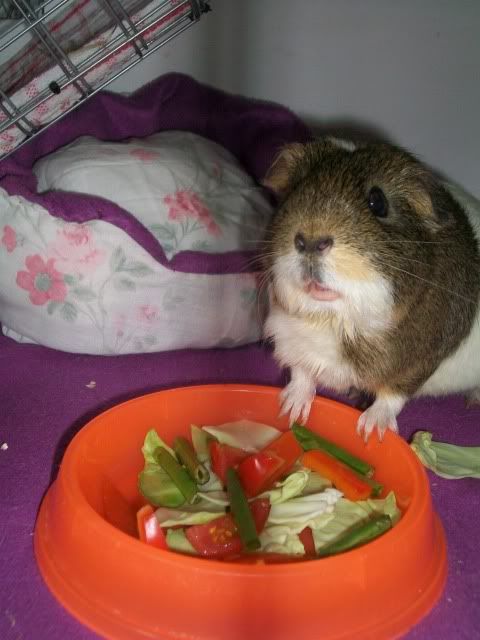 100_7297.jpg