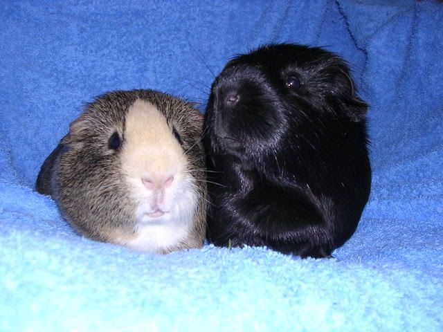 DSCN5002.jpg