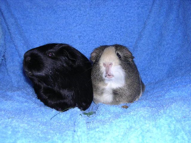 DSCN5017.jpg