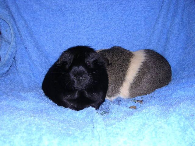 DSCN5020.jpg
