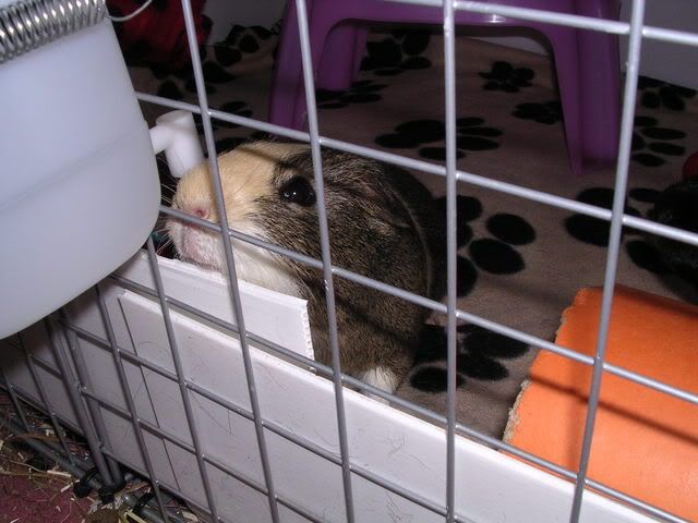 DSCN5355.jpg
