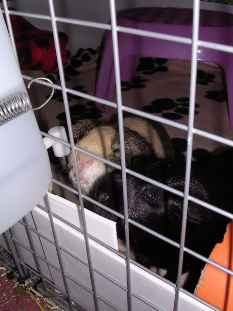 DSCN5356.jpg