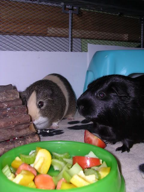 DSCN5370.jpg