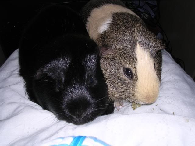 DSCN5653.jpg