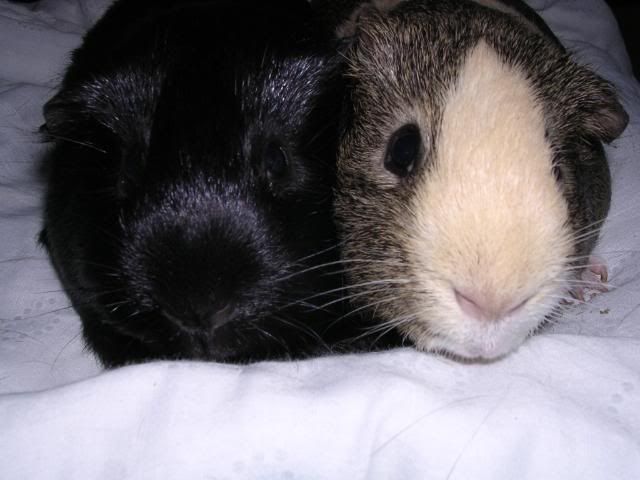DSCN5654.jpg