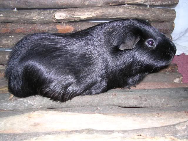 DSCN5718.jpg