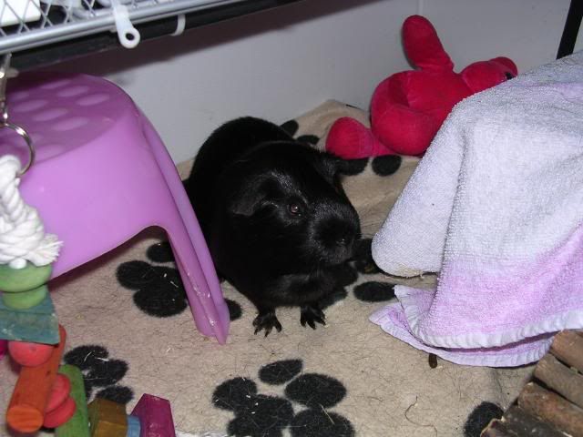 DSCN5725.jpg