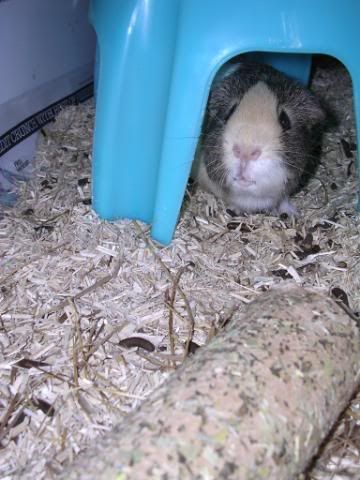 DSCN5727.jpg