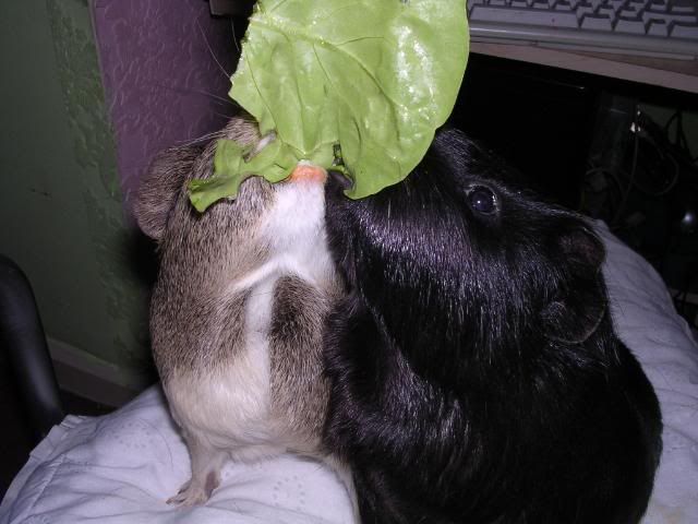 DSCN5767.jpg