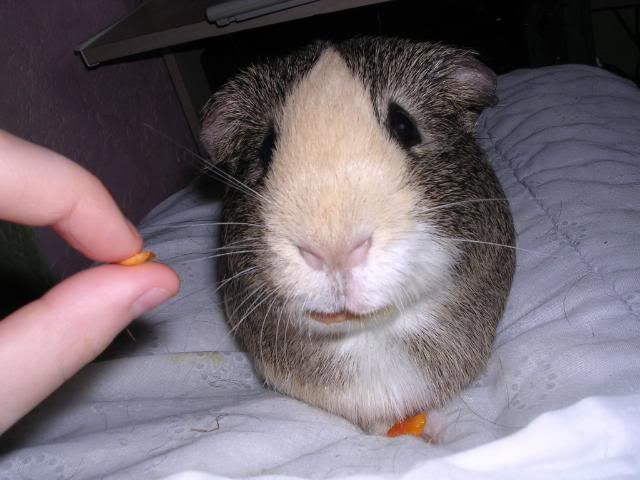 DSCN5778.jpg