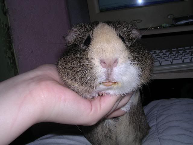DSCN5779.jpg