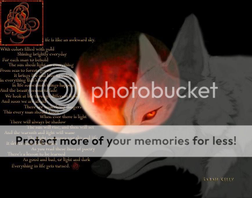 Photo Sharing and Video Hosting at Photobucket