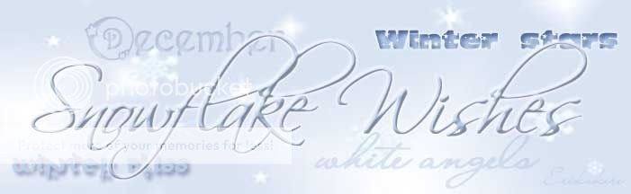 Snowflake Wishes banner