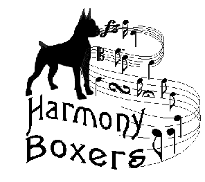 harmony1.gif picture by HarmonyBoxers