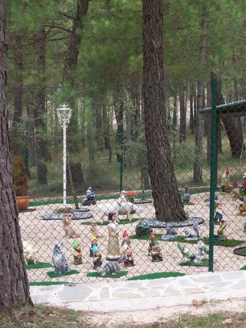 Ripar2009003.jpg