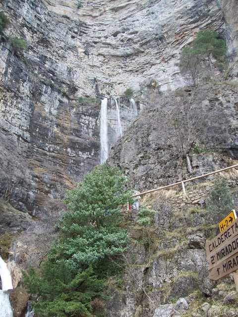 Ripar2009049.jpg